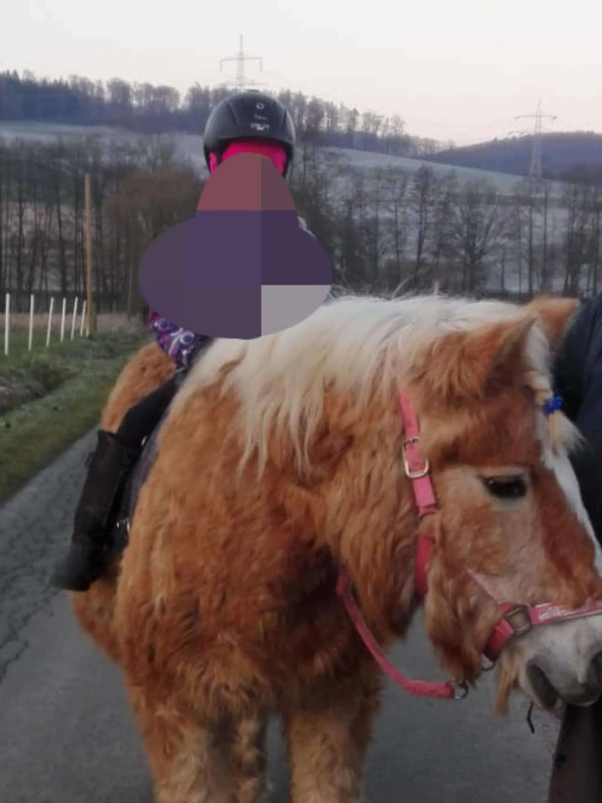 Campingplatz Vergewaltiger Mia und Addy (c) RTL 1 bearbeitet neu.jpg