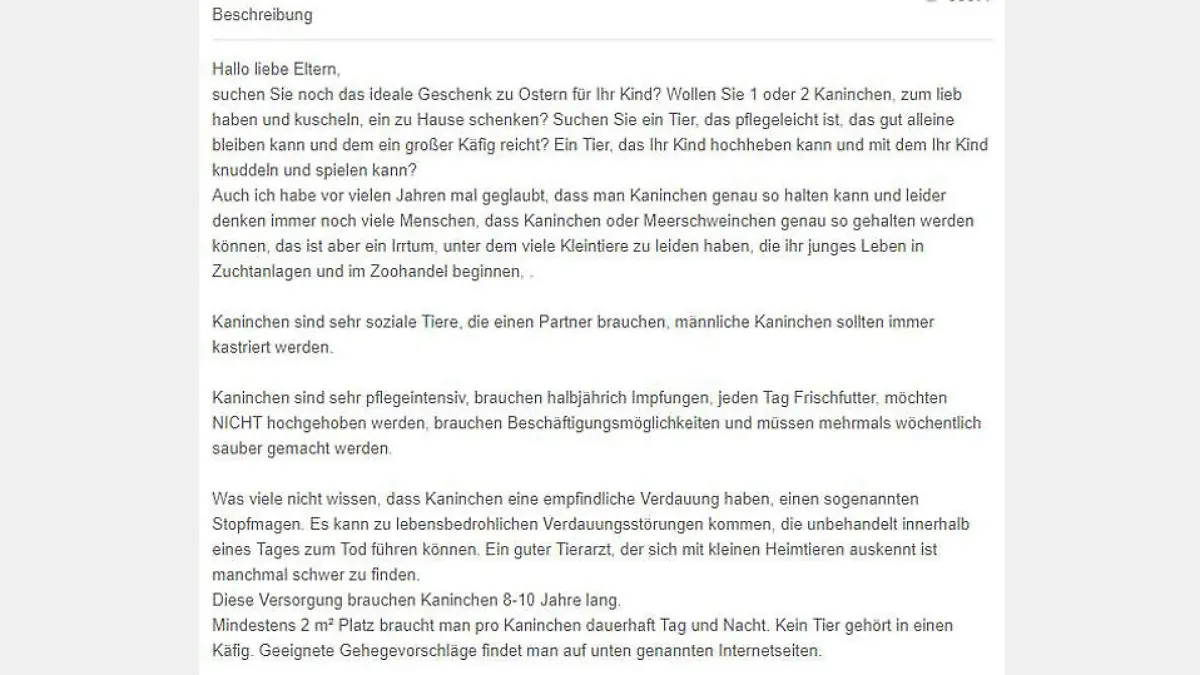 eBay Kleinanzeigen Kaninchen zu Ostern