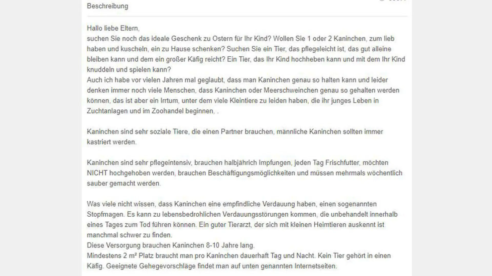 eBay Kleinanzeigen Kaninchen zu Ostern