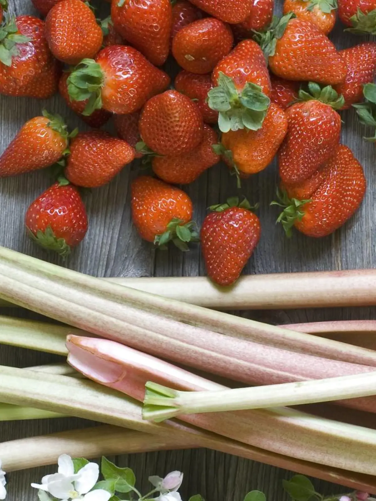 Rhubarb stalks, strawberries and apple blossoms on wood PUBLICATIONxINxGERxSUIxAUTxHUNxONLY ASF06228  