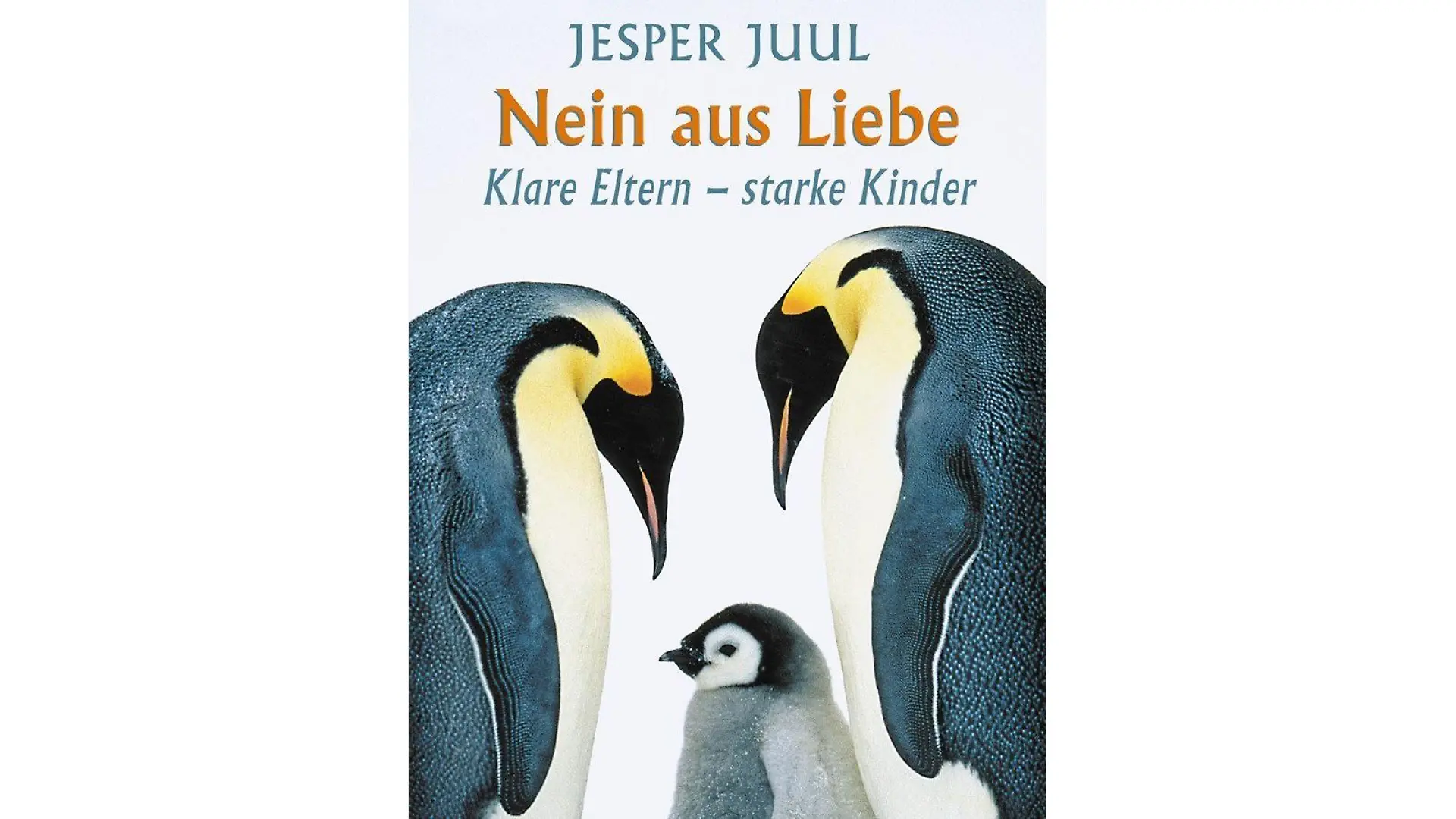 auch sicherheitshalber. In seinem lebendigen und mit vielen Beispielen gespickten Elternbuch „Nein aus Liebe" – gut lesbar und auf den Punkt gebracht – plädiert Bestsellerautor Jesper Juul für die Kunst, Nein zu sagen