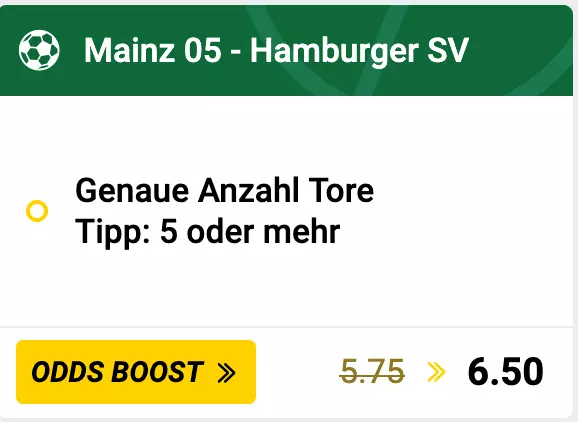 1. FSV Mainz 05 – Hamburger SV 