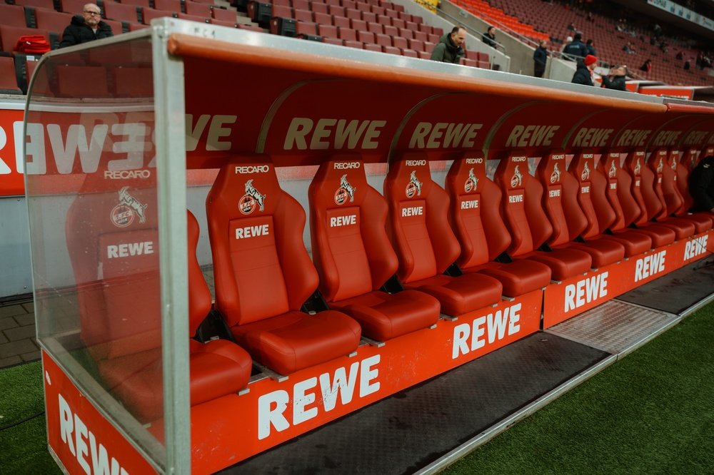 1. FC Köln - TSG Hoffenheim Tipps (Foto: Shutterstock/ Gabor Baumgarten)