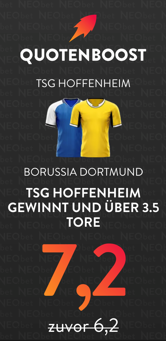TSG Hoffenheim – Borussia Dortmund