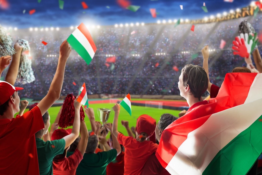 WM-Qualifikation Ungarn vs. Irland (Foto: Shutterstock.com / FamVeld)