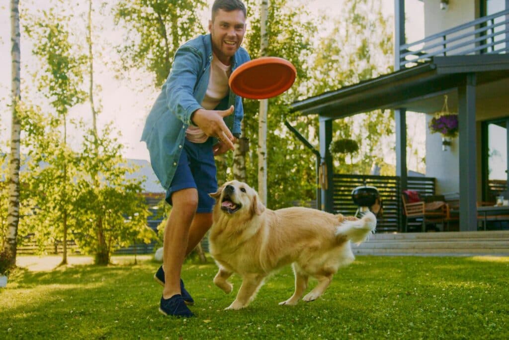 Hunde Fitness Spielen