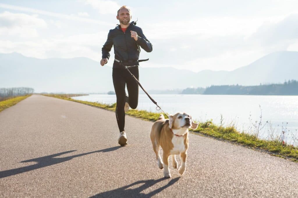 Joggen mit Hund: Leine