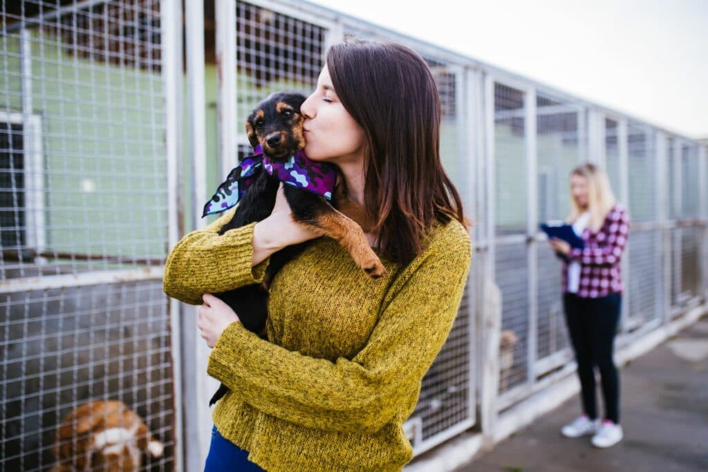 Hund adoptieren: im Tierheim
