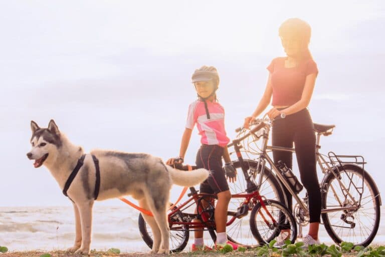 Biker,Family,With,A,Dog,On,The,Beach,At,Sunset.