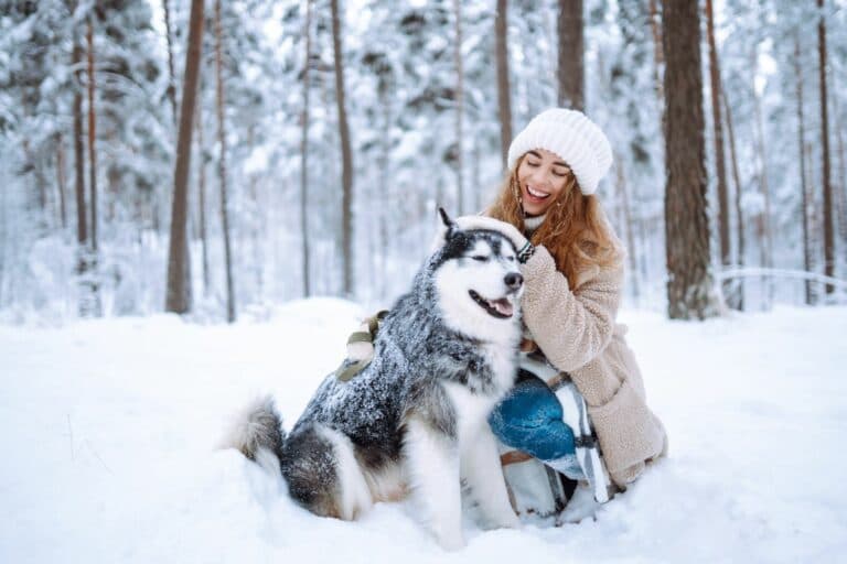 Winterspaziergang mit Hund