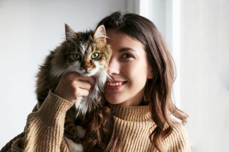 Erstausstattung Katze
