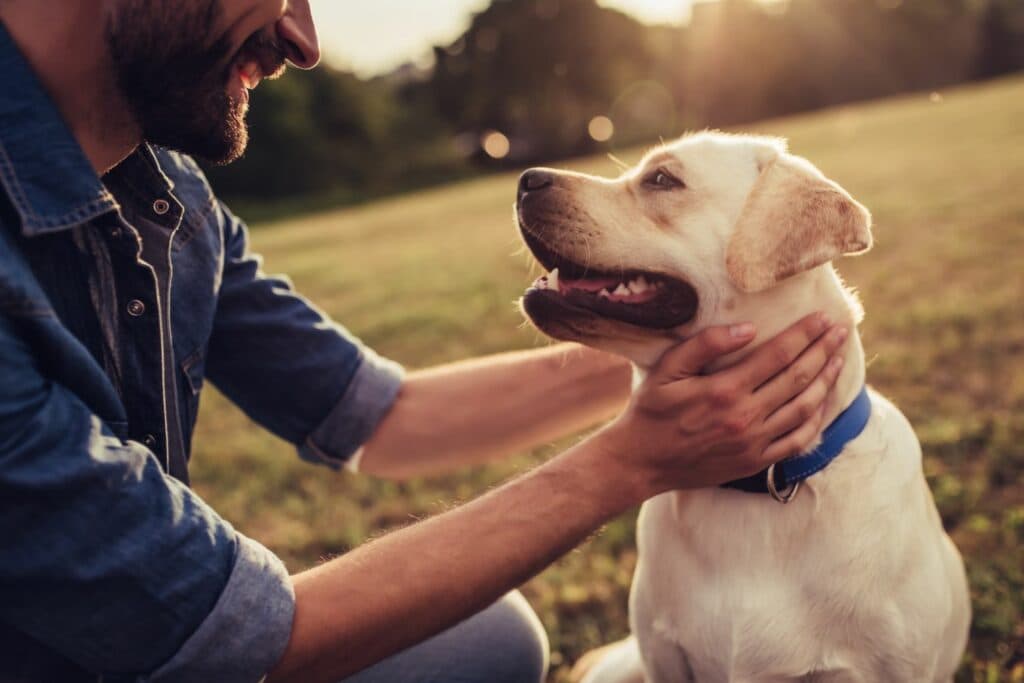 GPS Tracker Haustiere Tractive Hund