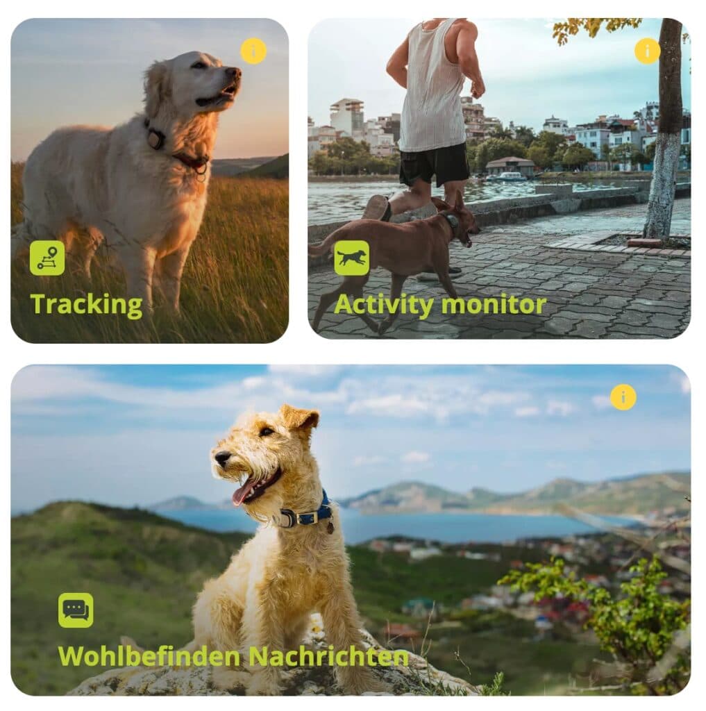 GPS Tracker Kippy Funktionen