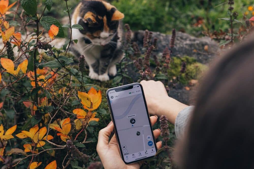 Weenect Katzentracker App
