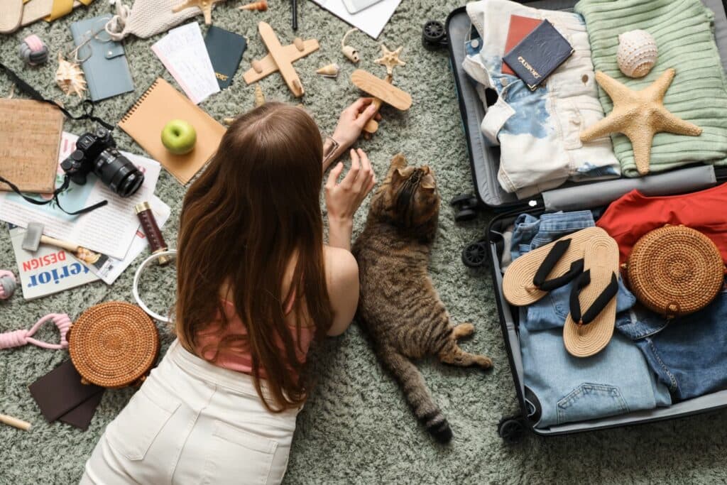 Urlaub mit Katze: Vertrautes