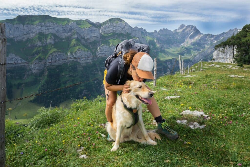 Wandern mit Hund: der richtige Pfad