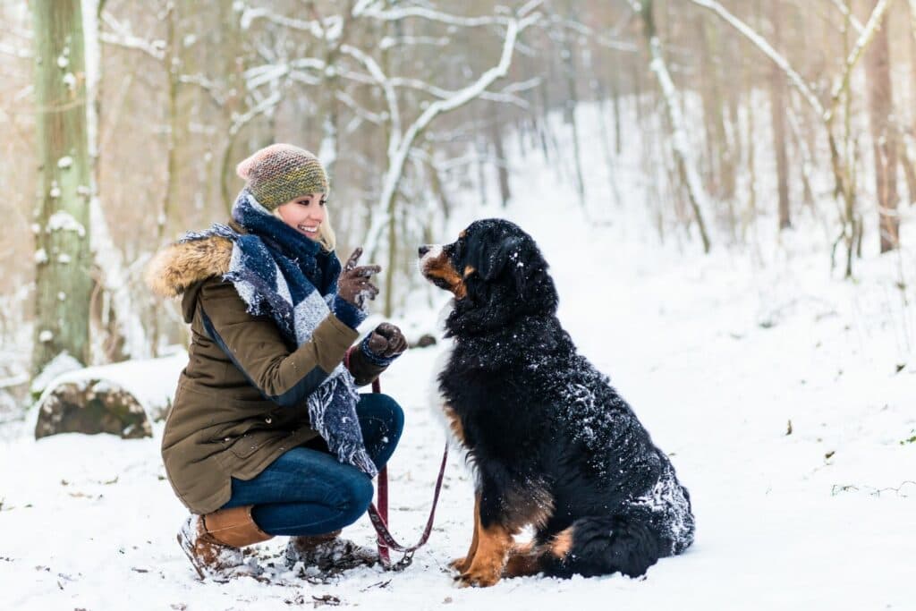 Winterspaziergang mit Hund: an der Leine
