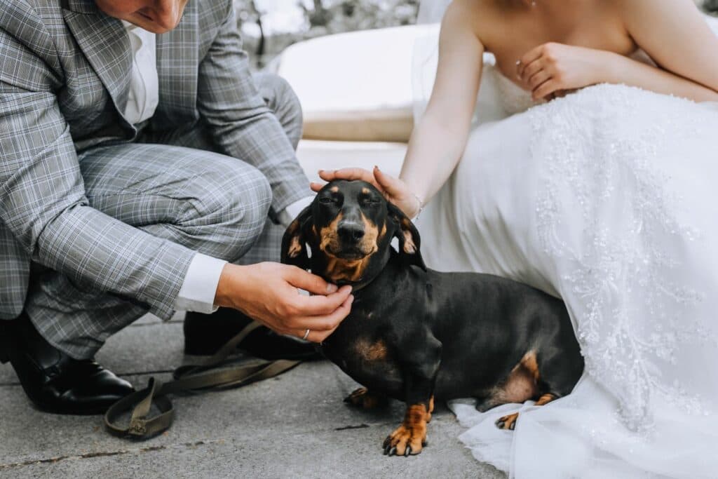 Haustiere auf Hochzeiten: Paar mit Hund