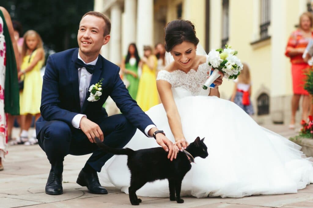 Haustiere auf Hochzeiten: Hochzeitspaar mit Katze