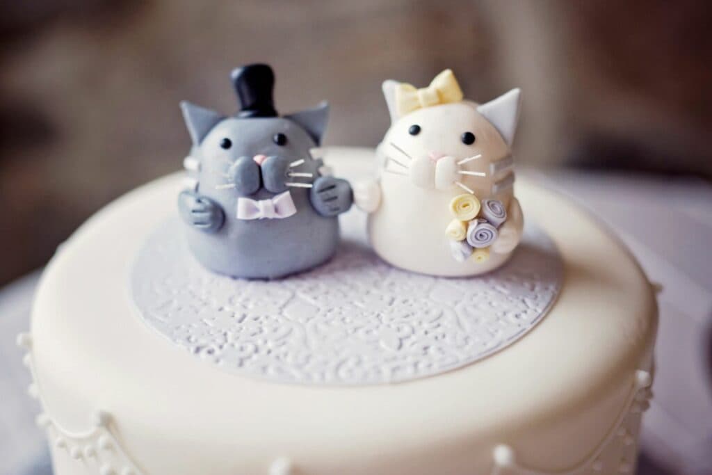 Haustiere auf Hochzeiten: Hochzeitstorte mit Katzen