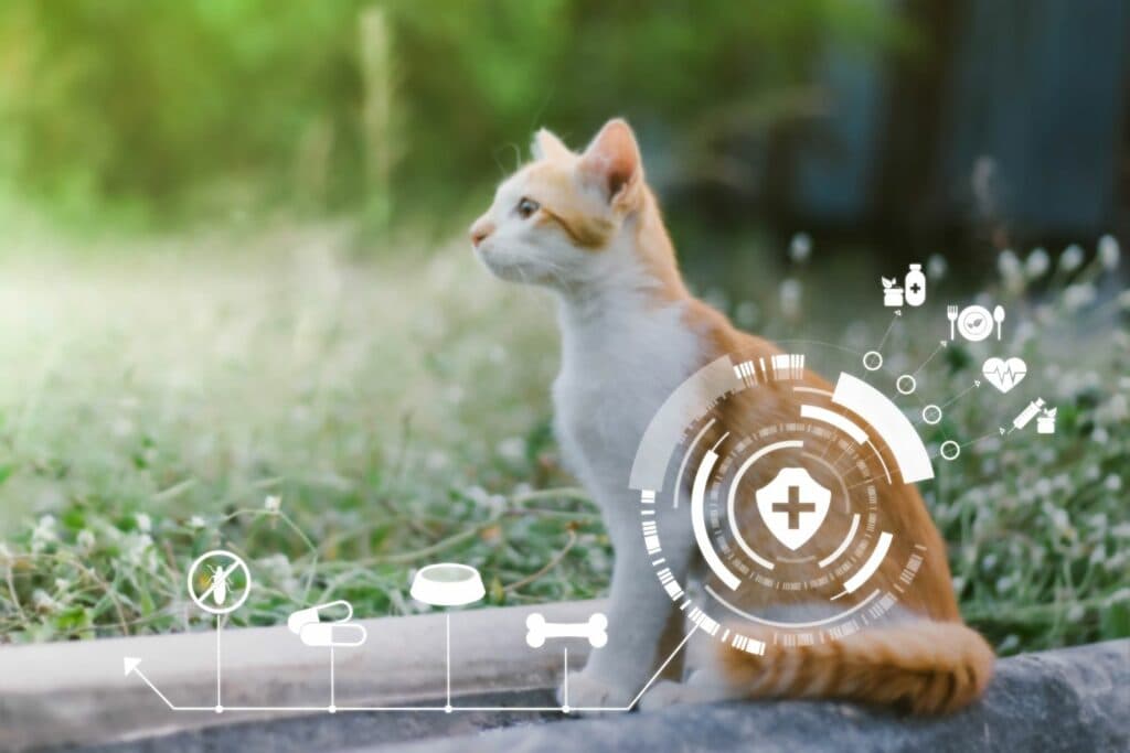 Haustier-Gadgets Intelligent