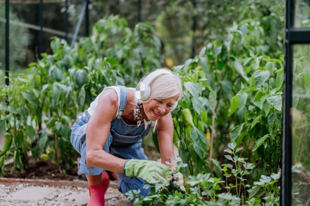 hören hörbücher: Gartenarbeit