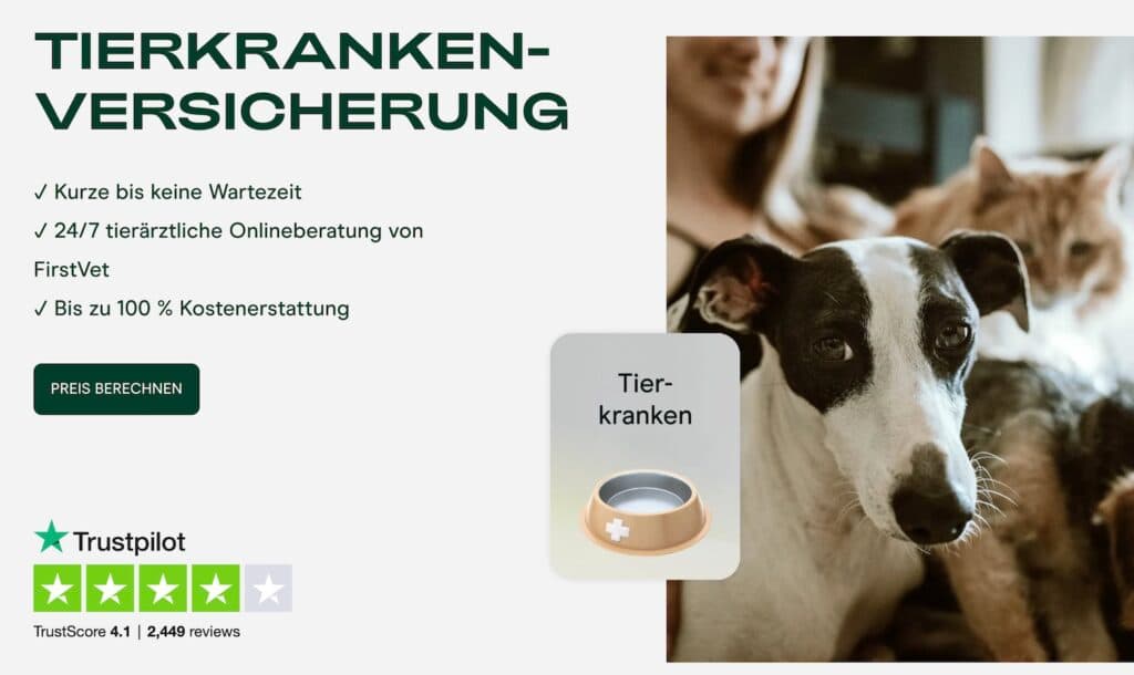 Tierversicherung-Getsafe-Webseite