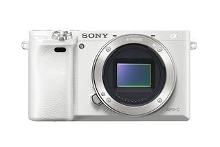 Diese Arten von digitalen Spiegelreflexkameras gibt es im Test Welche Arten von Digitale Spiegelreflexkamera gibt es in einem Test?