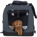 Hundebox Test 2026 • Die 5 besten Hundeboxen im Vergleich