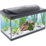 Aquarium Test 2026 • Die 6 besten Aquarien im Vergleich