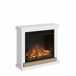 Im Kamin Test - Brandsicherheit Brandsicherheit beim Kamin im Test und Vergleich