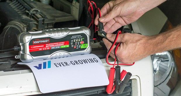 Dino KRAFTPAKET 10A-12V/24V Batterieladegerät im Test - mit einem optimierten Ladevorgang mit bis zu 10A bei 12V oder 5A bei 24V