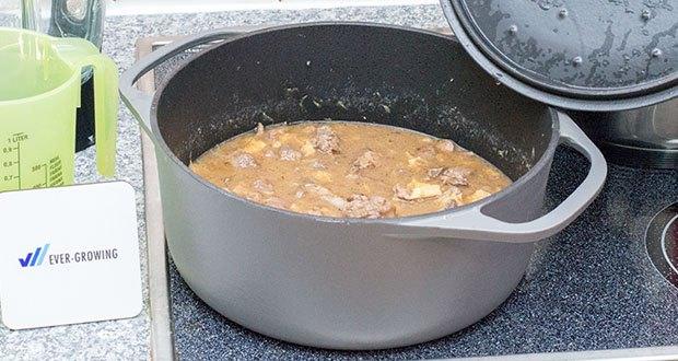 Springlane Gusseisen Bräter Cocotte rund 28 cm im Test