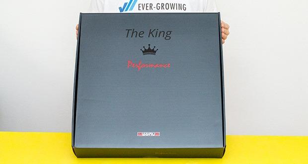 Millennium Schachcomputer The King Performance M830 im Test - mit Anschluss zum ChessLink Modul zur Verwendung von Schach-Apps (auf zahlreichen externen Geräten)