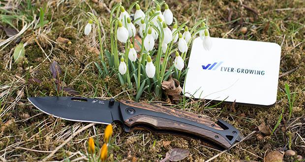 BERGKVIST 3-in-1 Taschenmesser K29 Tiger im Test - neues K29 Tiger Taschenmesser fĂĽr deine Abenteuer