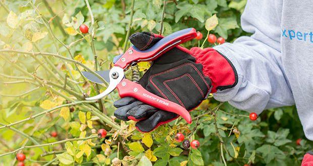 Spear & Jackson Razorsharp Bypass-Gartenschere im Test - untere Klinge aus hartverchromtem Stahl für verbesserte Rostbeständigkeit