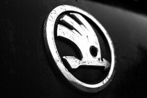 Wichtige Skoda Scala Testkriterien Nach diesen Testkriterien werden Skoda Scala bei uns verglichen