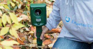 Was sind die Alternativen zu einem Marderschreck? Was sind die Alternativen zu einem Marderschreck im Test?