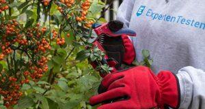 Anwendungsbereiche aus einem Gartenscheren Test Die verschiedenen Anwendungsbereiche aus einem Gartenscheren Testvergleich