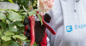 Wo kaufe ich einen Gartenscheren Testsieger am besten? Wo kaufe ich einen Gartenscheren Test- und Vergleichssieger am besten?