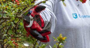 Zahlen und Daten vom Gartenscheren Testsieger Alle Zahlen und Daten aus einem Gartenscheren Test und Vergleich