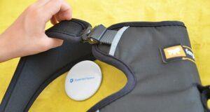 Ferplast Geschirr für Hunde Ergotrekking P im Test - leicht anzulegen, perfekte Passform für jeden Körpertyp