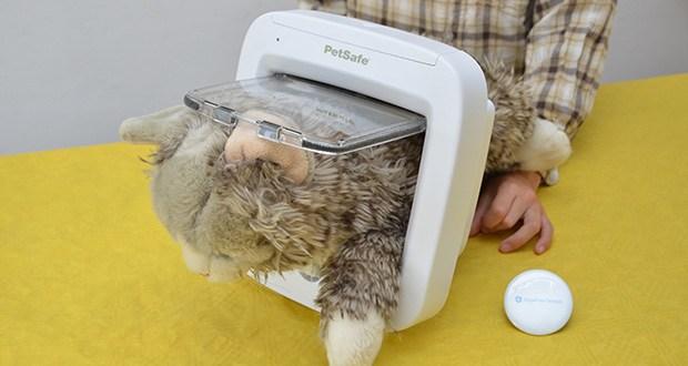 PetSafe Katzenklappe mit Chiperkennung im Test - ist eine batteriebetriebene Haustierklappe die für Katzen und Haustiere bis zu 7 kg