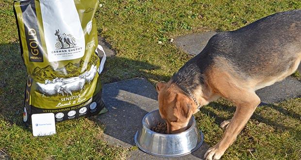 German Shephy Sensibelchen Lamm & Reis Hundetrockenfutter im Test - besonders magenschonend und beinhaltet spezielle Hefen für eine gesunde Darmflora