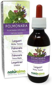 Was ist ein geflecktes Lungenkraut im Test? Was ist ein Geflecktes Lungenkraut im Test und Vergleich?