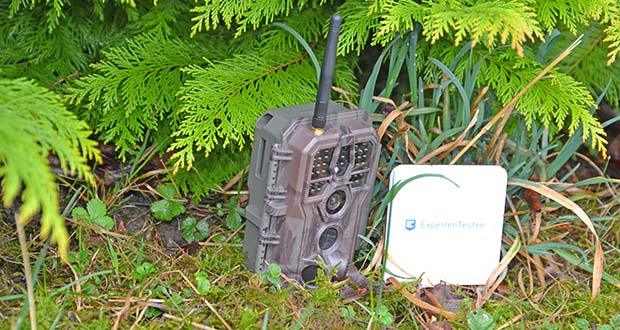 Blazevideo Wildkamera Jagd 24MP im Test - superleichte Bedienung und flexible Optionen