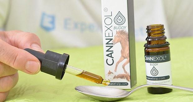 CANNEXOL Buddy 10% CBD Öl für Hunde und Pferde im Test - ~1000 mg/3000 mg CBD (10/30 ml)