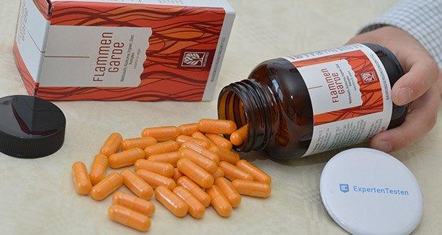 Naturtreu Flammengarde Kurkuma Weihrauch Ingwer Zimt Komplex im Test - enthält hochdosierte pflanzliche Essenzen aus der indischen Ayurveda Lehre