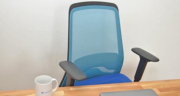 Interstuhl Bürostuhl Every Active im Test - das straffe Netz stabilisiert den Rücken- und Lendenwirbelbereich und behält auch bei hoher Belastung seine Form