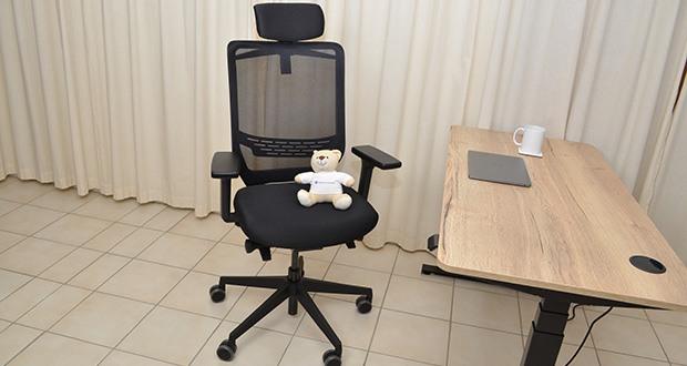 TREND OFFICE to-Sync Pro ergonomischer Bürostuhl im Test - unterstützt zuverlässig Deinen Rücken und bringt Dich in eine gesunde, aufrechte Haltung